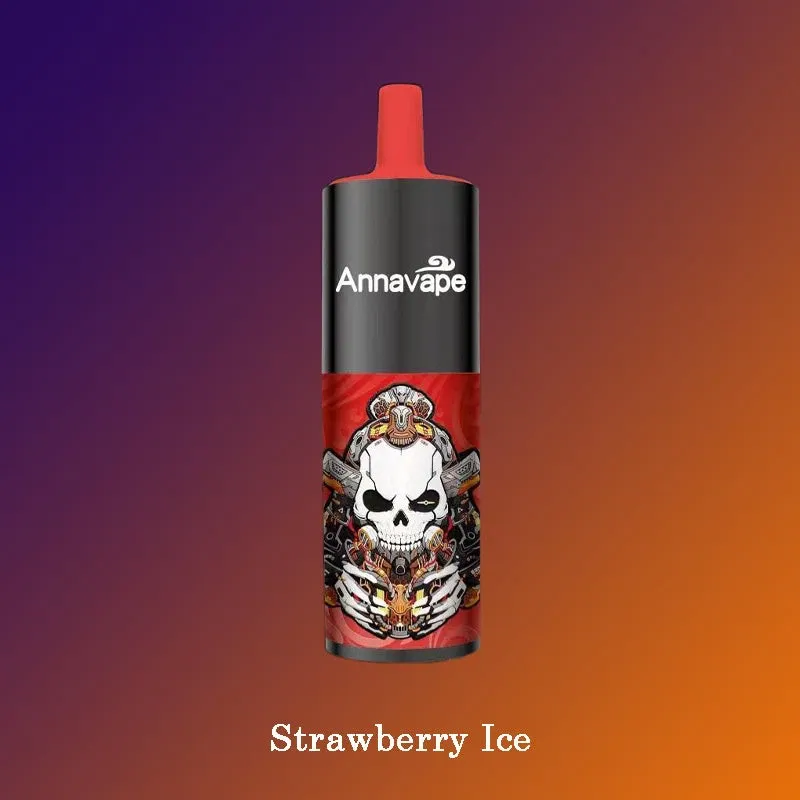 Annavape 12000 Puff Disposable Vape best