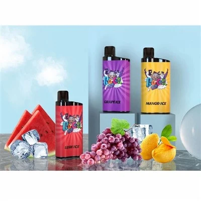 IGET Bar 3500 Puffs Vape